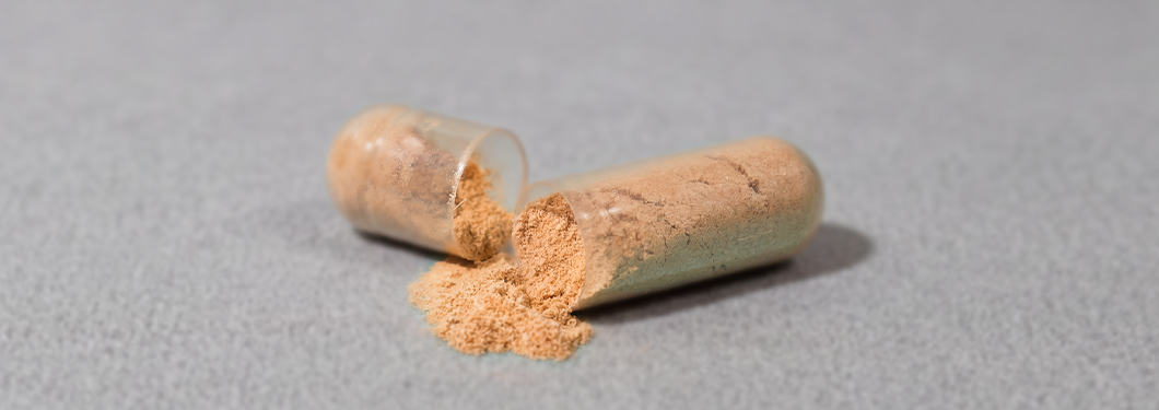 nutrient absorption and bioavailability supplements for women supplements for men
