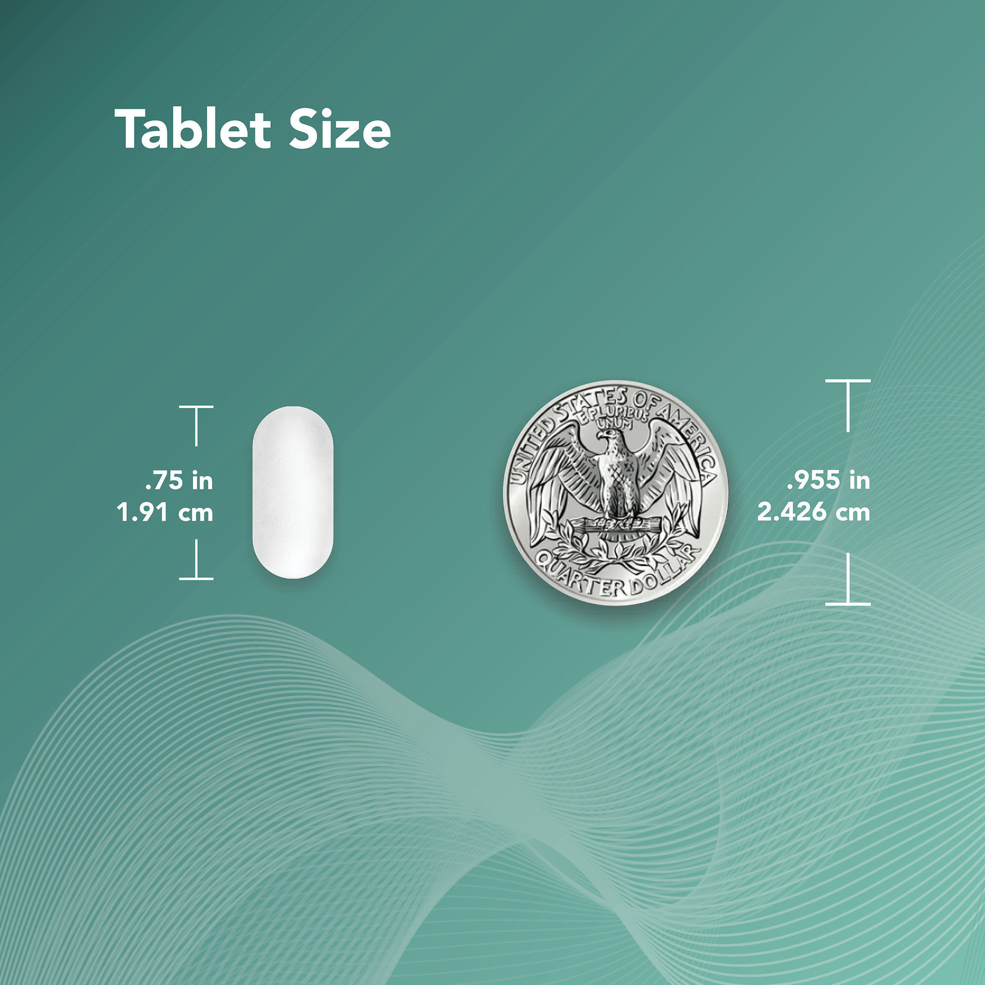 Optimal kidney support for both men and women.