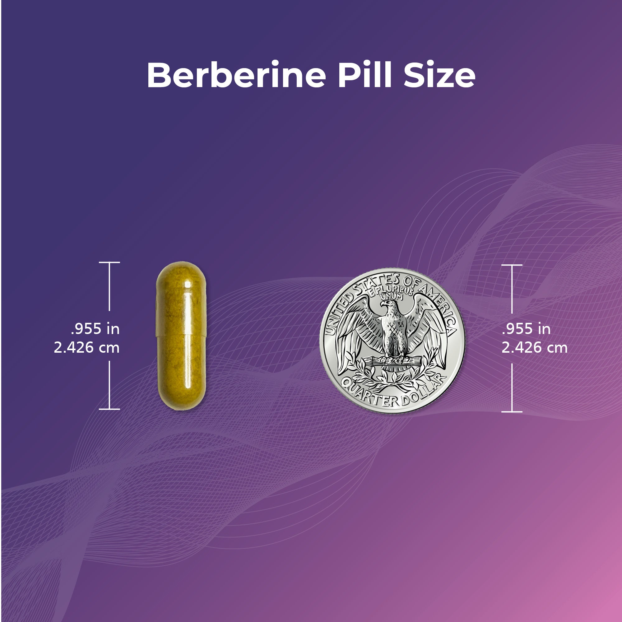 Berberine pill next to a US quarter showing size comparison, both measuring .955 inches or 2.426 centimeters.