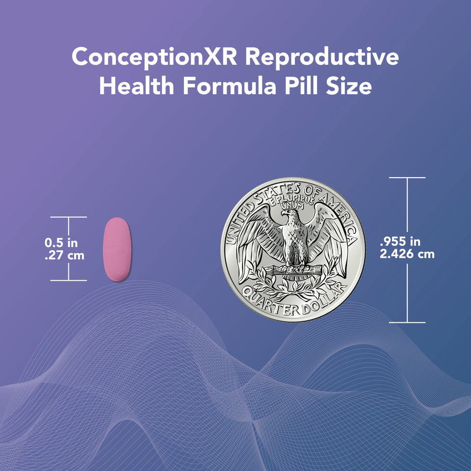 Supports healthy sperm structure and function