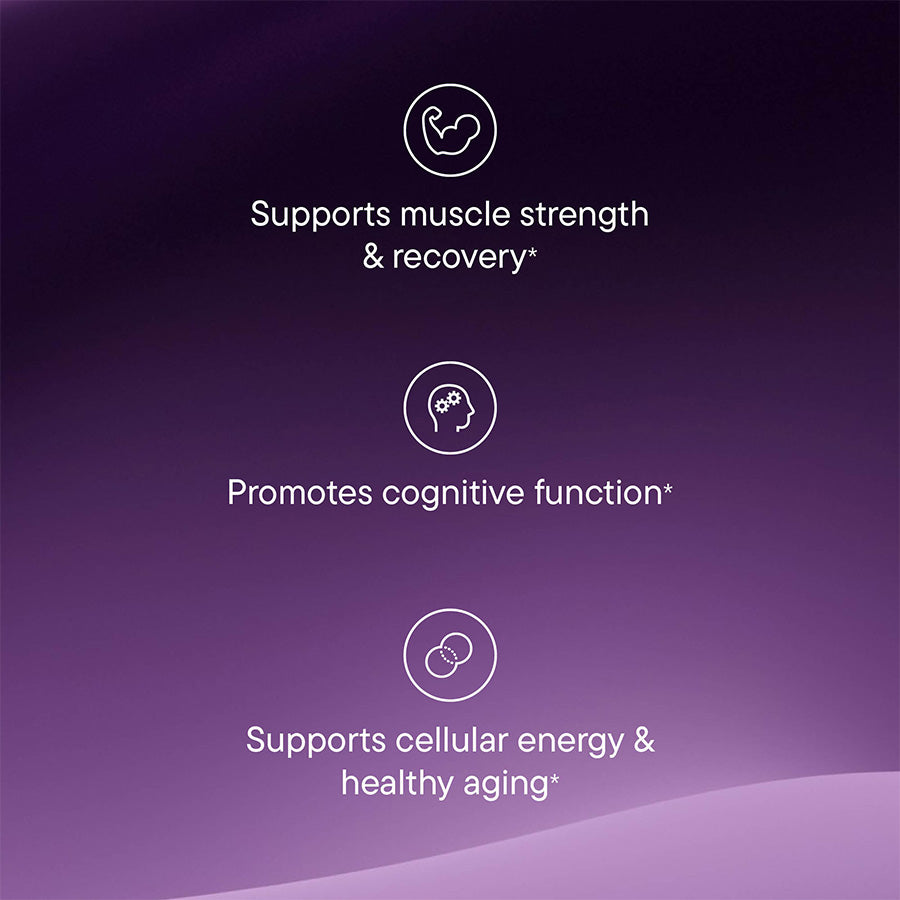 Creatine for muscle strength, creatine and nmn for menopause