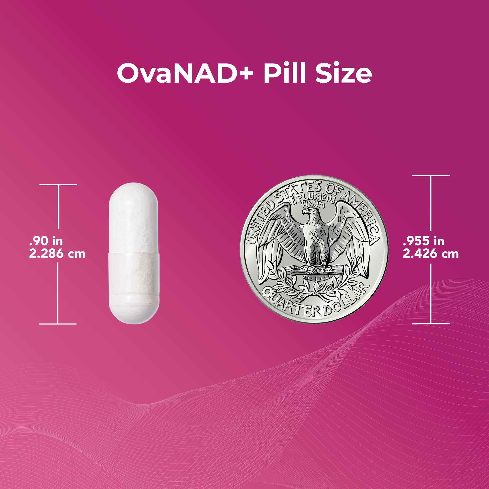 OvaNAD+ pill next to a US quarter for size comparison, showing pill dimensions of 0.90 inches or 2.286 cm and quarter dimensions of 0.955 inches or 2.426 cm.