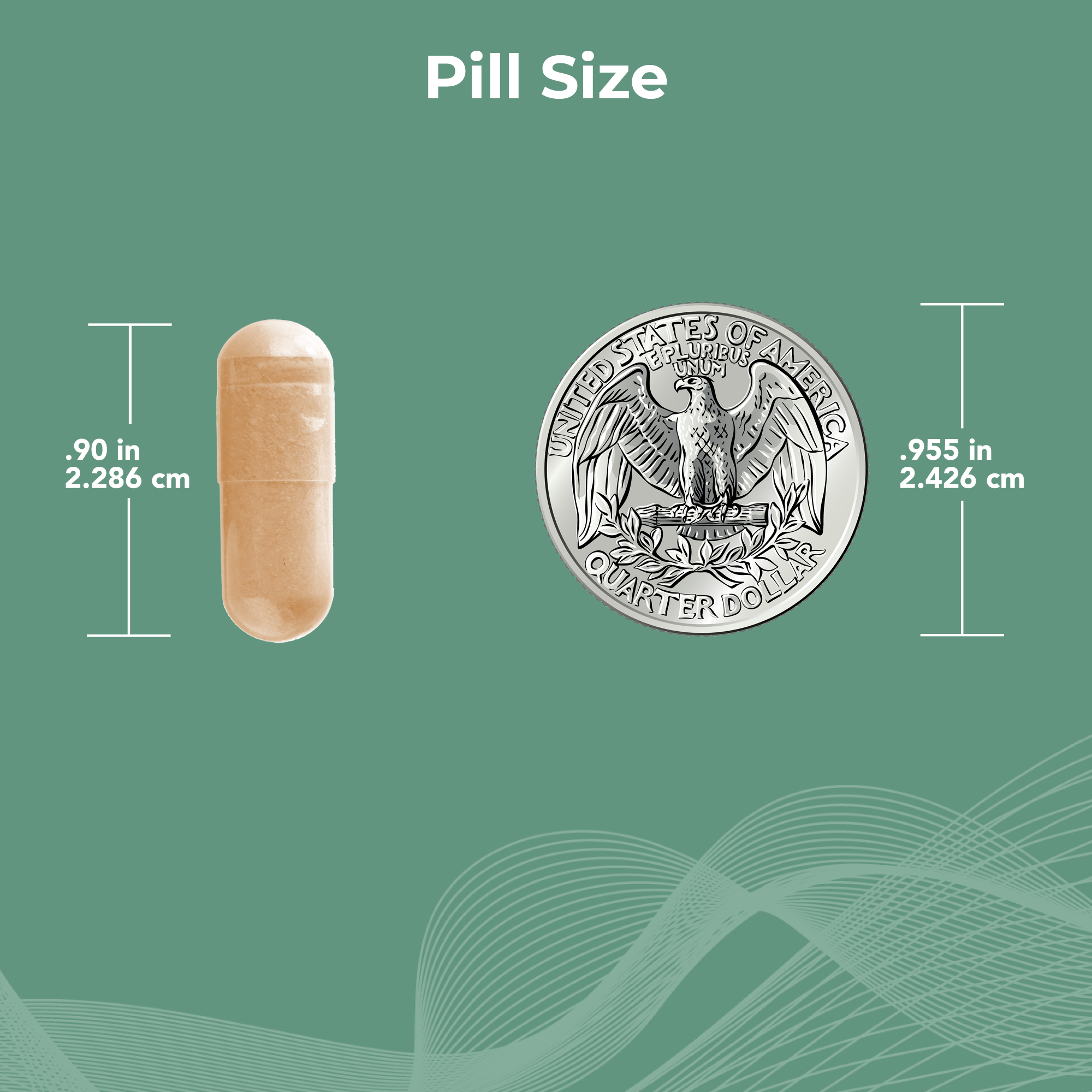 A vitamin that supports immune health for both men and women.