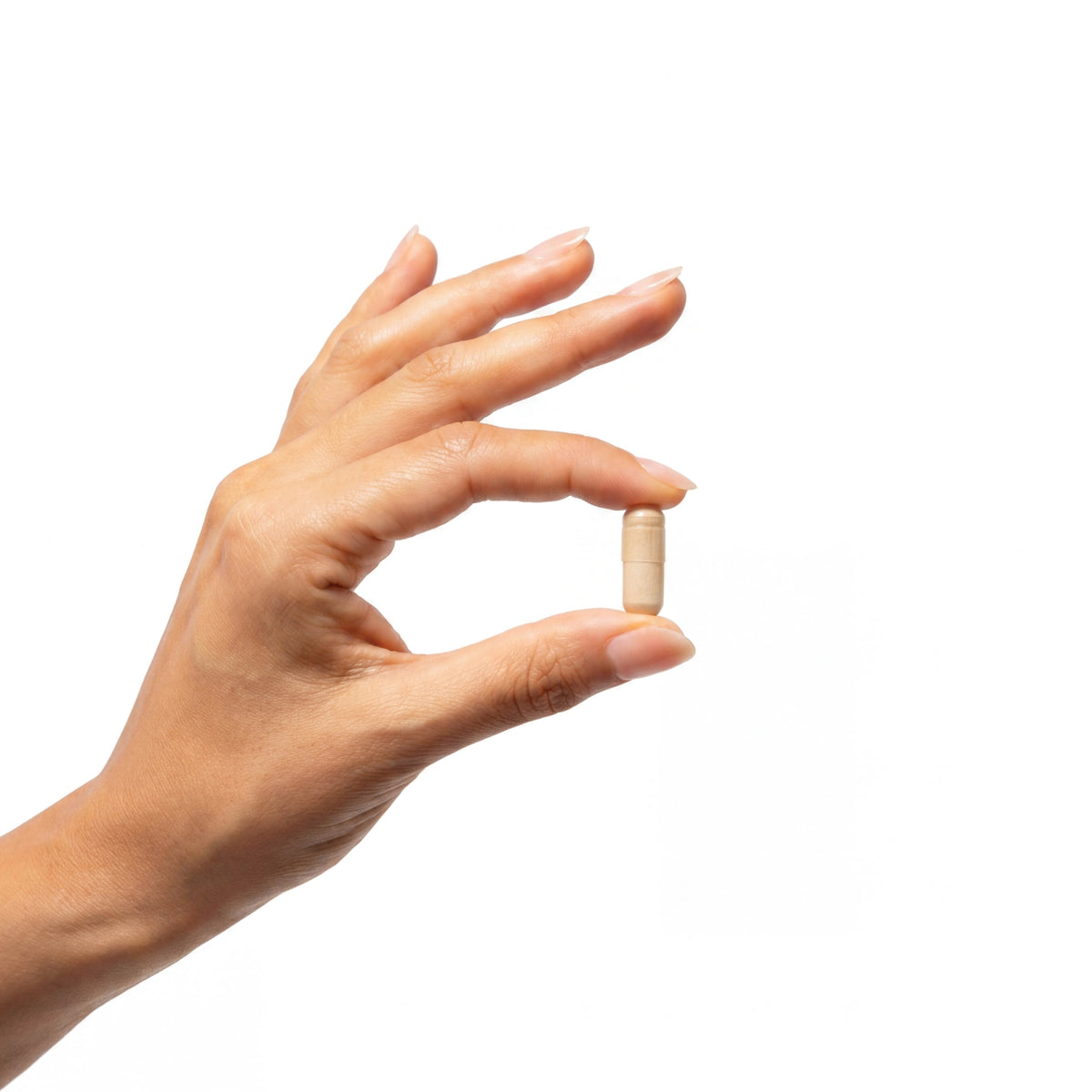 What are the main differences between postbiotics, probiotics, and prebiotics?