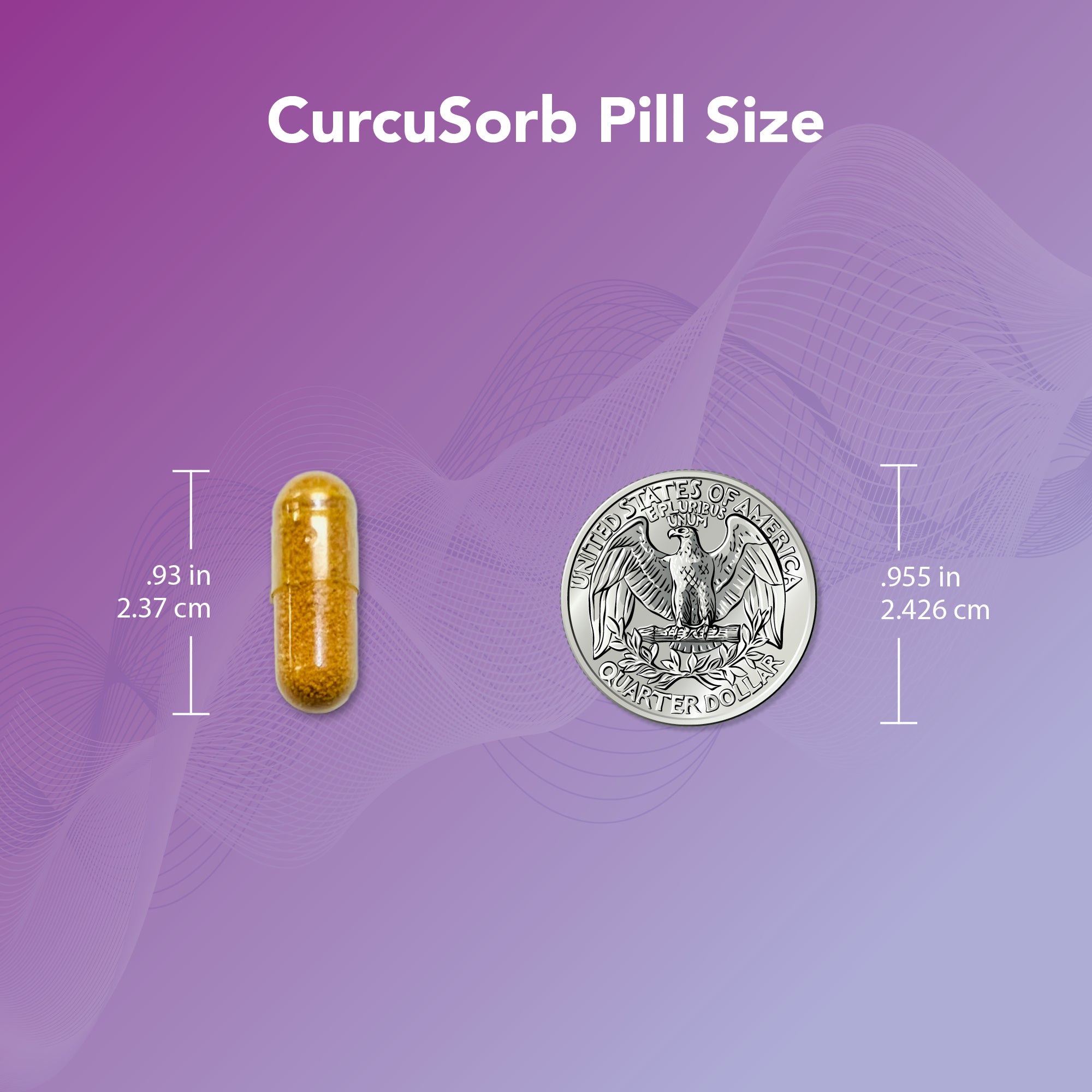 CurcuSorb pill size comparison with a coin on a purple background showing dimensions in inches and centimeters.