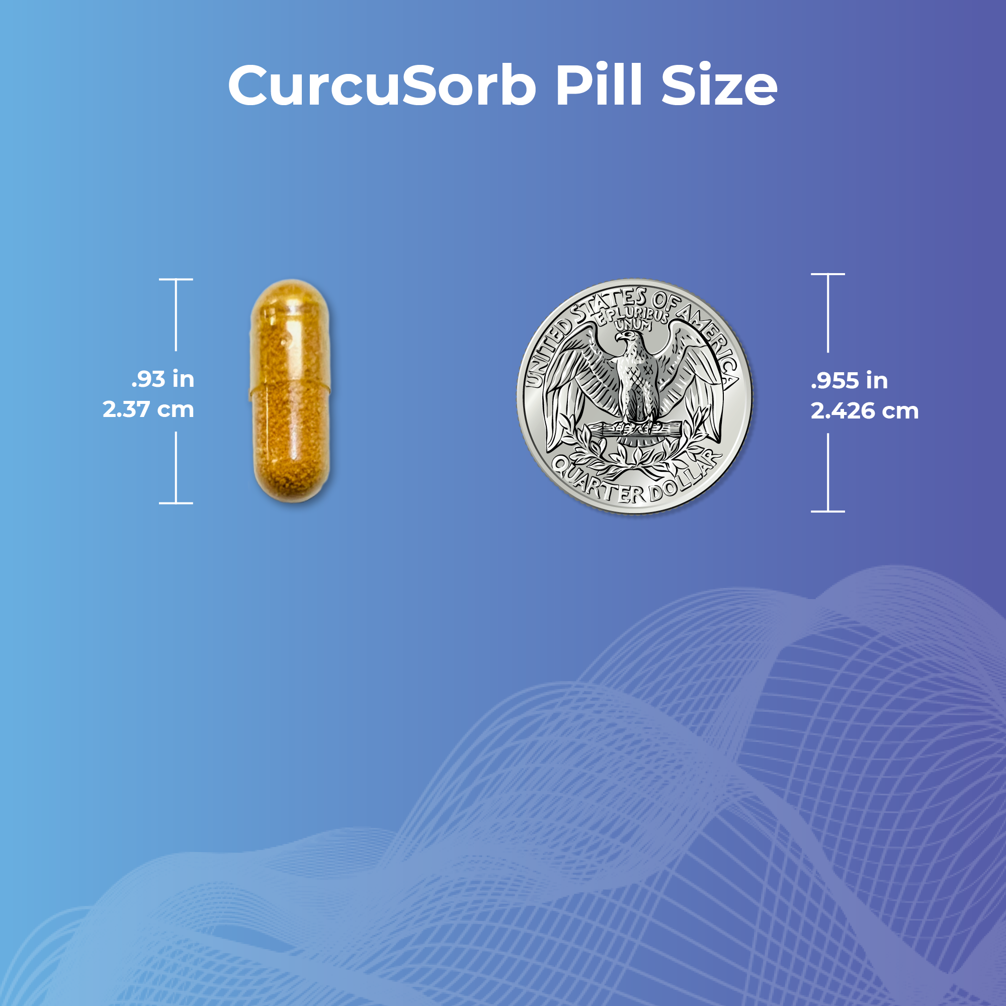 Provides antioxidant support for healthy joint function and mobility.*