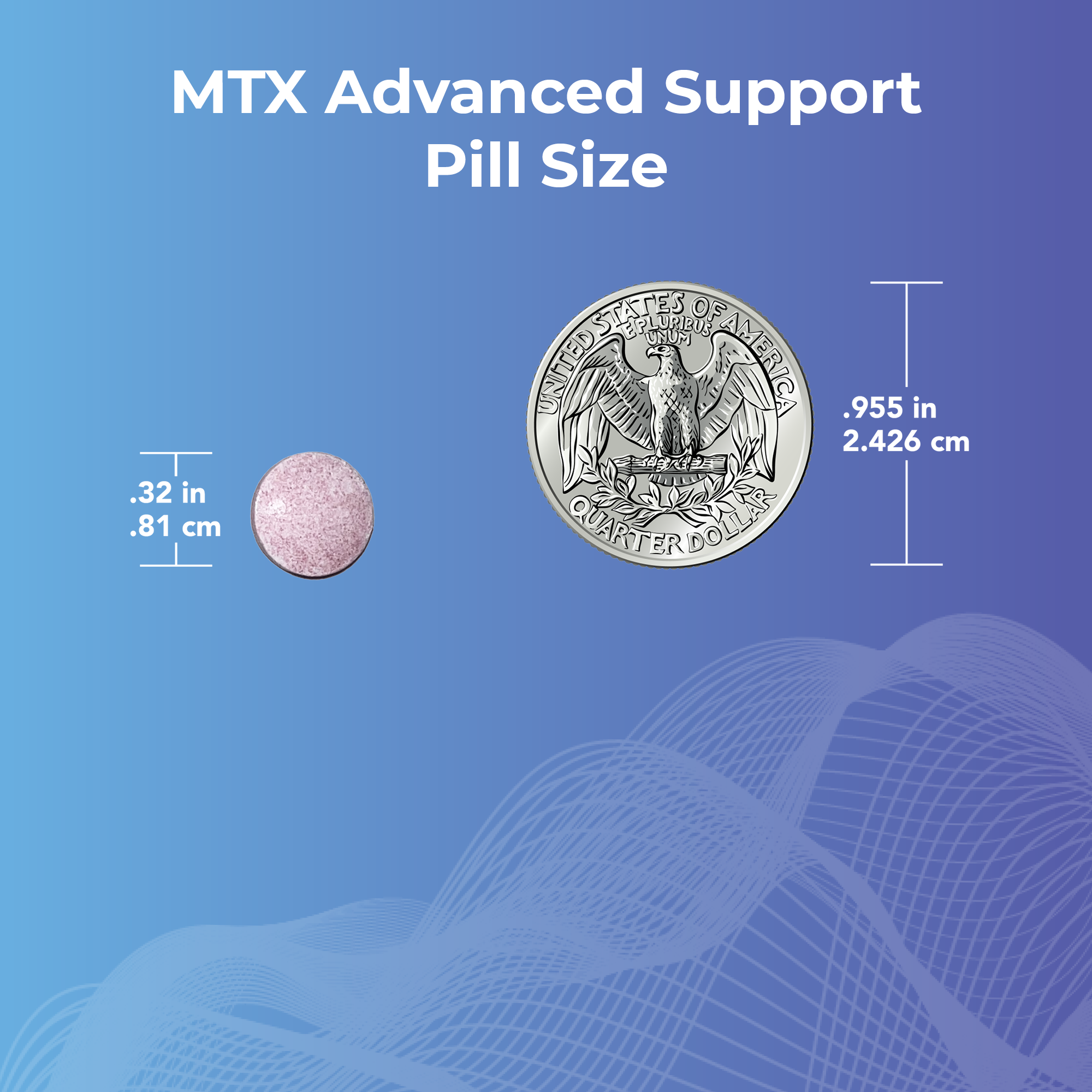 Maintains healthy folate and vitamin B12 levels.*