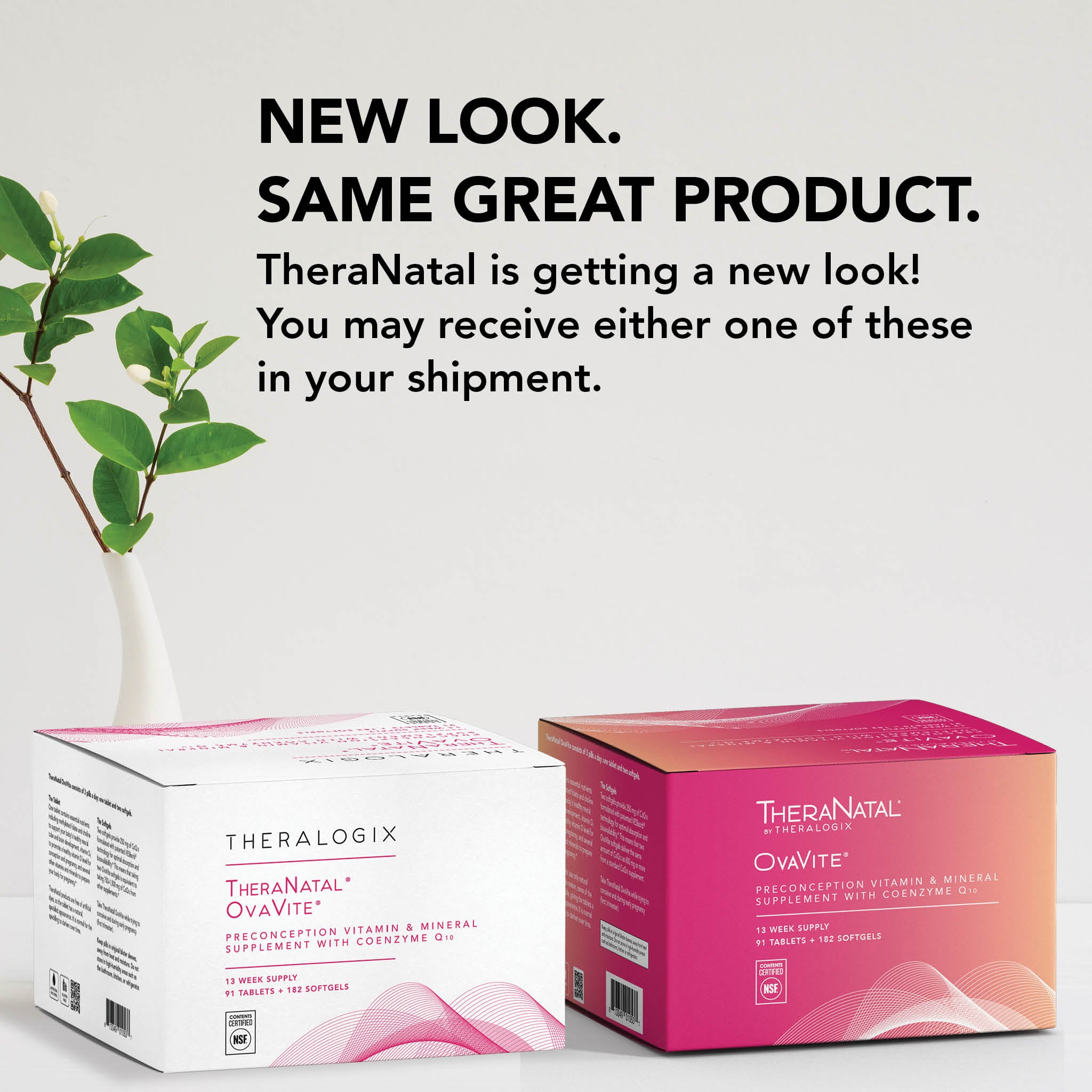 TheraNatal® OvaVite® Preconception Vitamin | Theralogix