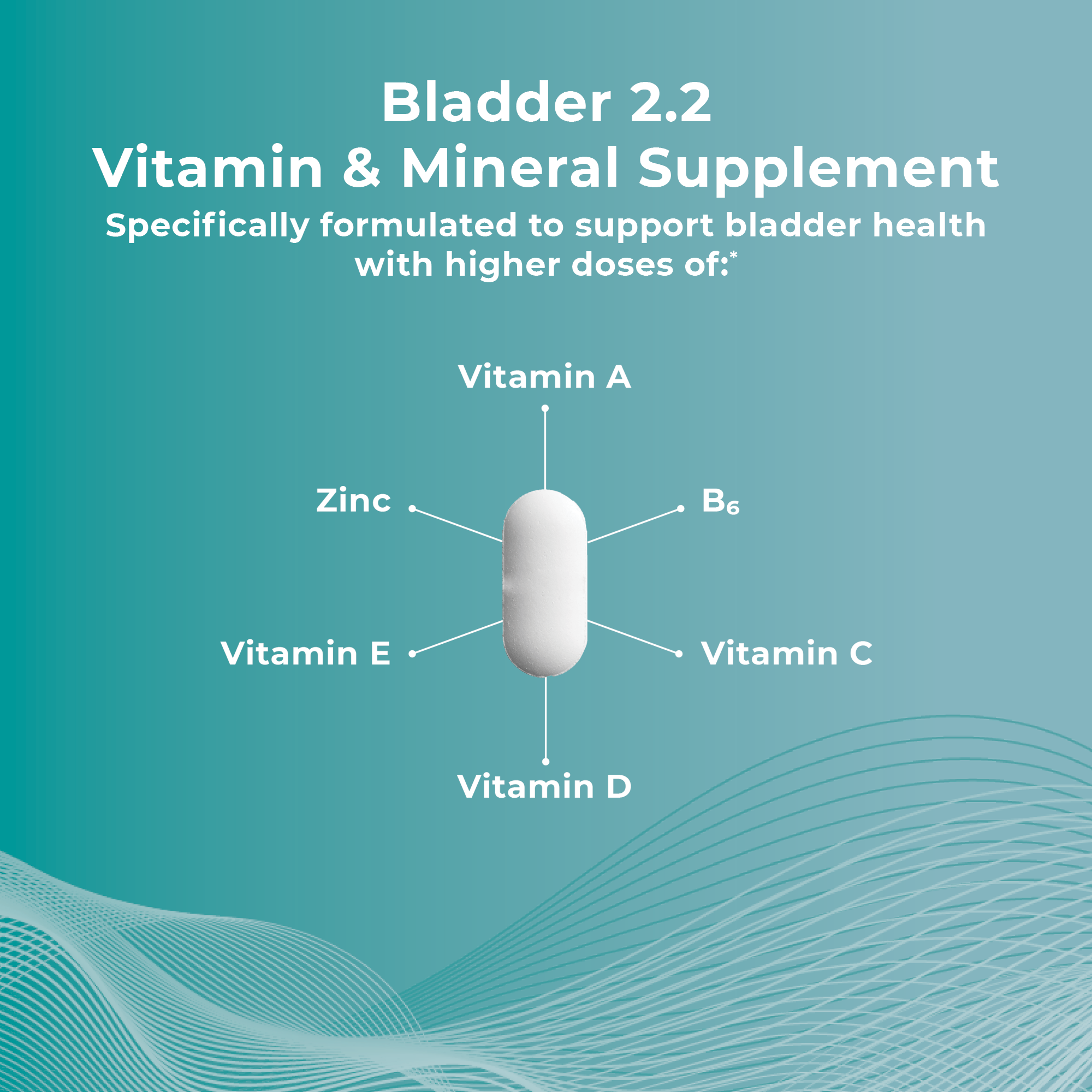 Bladder 2.2 Multivitamin & Mineral Supplement | Theralogix