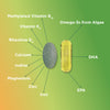 PhytoLife Balance provides essential vitamins and vegan forms of DHA and EPA.